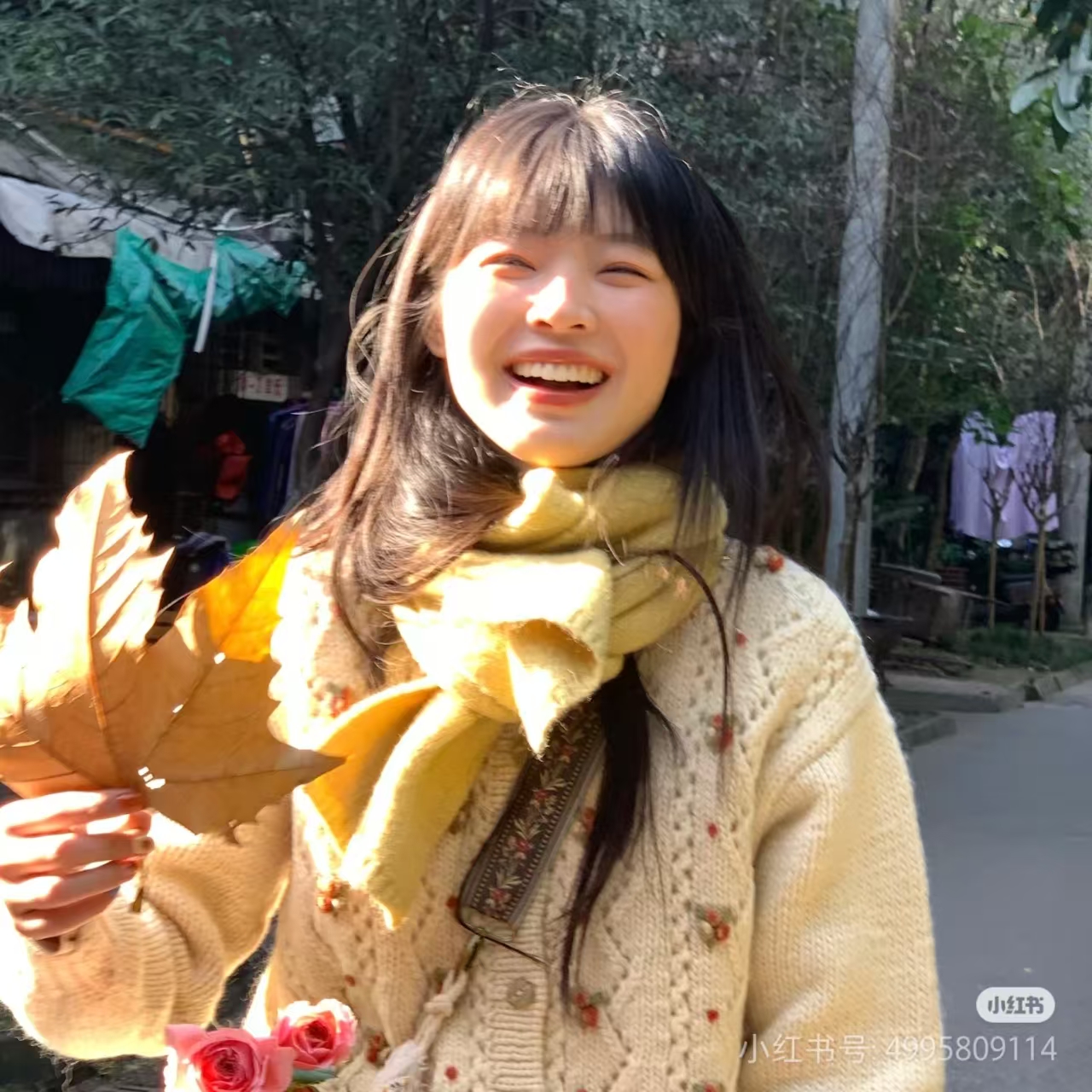 错把韶华顾