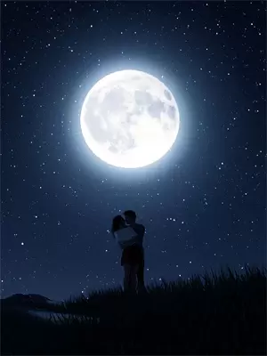 数据炼金术师(林深数据)免费小说完结版_免费小说免费阅读数据炼金术师林深数据